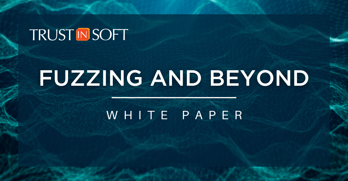 Fuzzing and Beyond: white paper by TrustInSoft